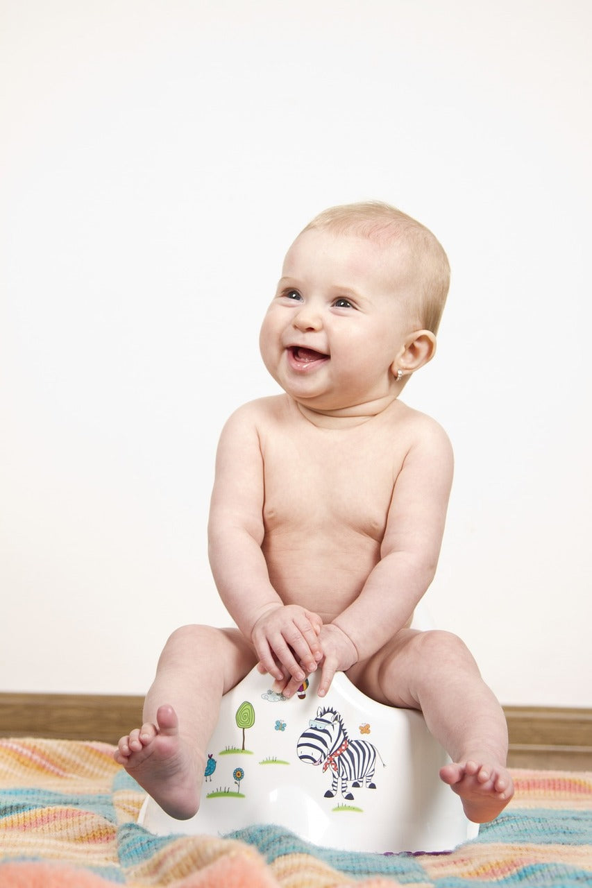 Mastering Potty Training: Top Tips and Tricks