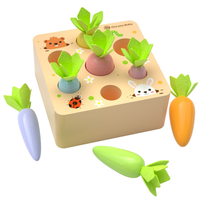 Educational Montessori Wooden Toys